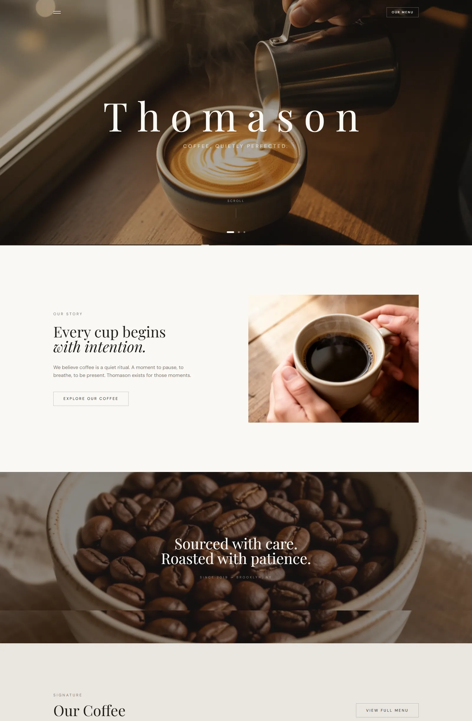 Thomason website preview